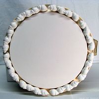 Top view showing full seashell rim detail