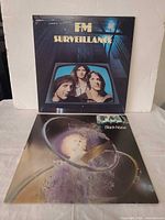 Front covers of both Surveillance and Black Noise LPs