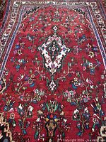 Full view of red Hamadan rug showing central medallion and field