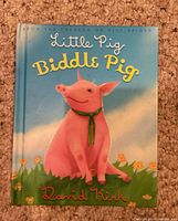 Front cover showing title, author and artwork