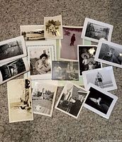 All photographs spread out on carpet showing variety and count