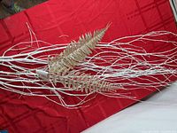 Overall view of white birch branch bundle with gold fern accents on red background