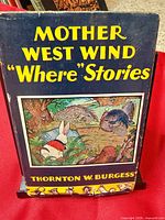 Front view of book with dust jacket on display stand