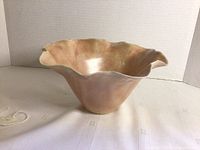 Front angled view showing iridescent finish and ruffled rim