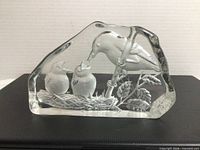 Front view showing bird and nest scene