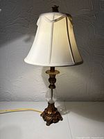 Full view of lamp illuminated