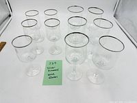 Front view of all 11 identical silver-rimmed wine glasses