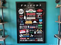 Full view of framed Friends infographic poster