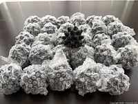 Group of spiky balls wrapped in bubble wrap with one unwrapped ball centered