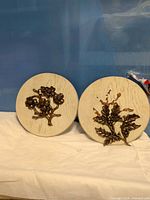 Both round plaques front view