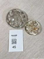 Both glass frogs with lot card visible