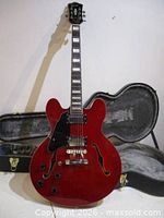 Full view of guitar standing in open hard case