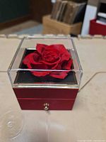 Front view of acrylic display box with preserved red rose, drawer closed