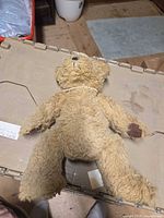 Full view of tan teddy bear on surface showing overall wear