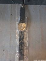 Front view of wristwatch in plastic sleeve showing dial and strap