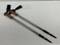 Both trekking poles fully extended showing overall design
