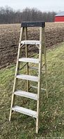 Full view of Featherlite 5-ft aluminum step ladder on grass