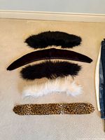 All five collars laid out flat on carpet