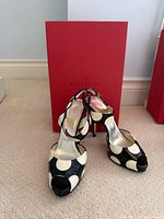 Front view of both heels in front of red Valentino box