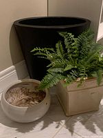 three assorted planters of different sizes and styles