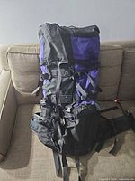 Front view of black and purple hiking backpack showing top lid, compression straps, mesh pockets, hip belt