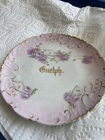 Pink Limoges souvenir plate with lavender roses and gilt “Guelph.” inscription