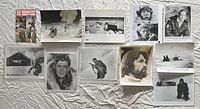 Front view of all press photos and lobby card laid out