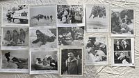 All twelve photos laid out on cloth background