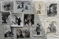 Fronts of all 11 photographic prints arranged together