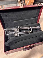 Trumpet resting in open burgundy hard case