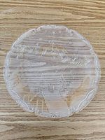 Full view of round clear pressed glass platter showing overall design