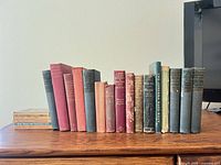 All 15 books on wooden surface showing spines and general wear
