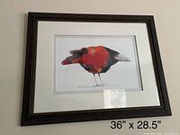 Frontal view of the framed print showing full artwork and dimensions