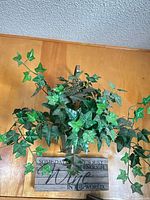 Front view of wood sign, metal planter, and faux ivy