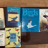 Six bird-themed hardcover books laid flat showing front covers