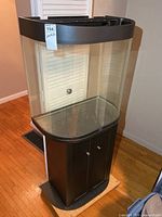 Full view of curved-front glass aquarium on black cabinet stand