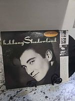 Front sleeve of k.d. lang Shadowland LP on stand with vinyl partially visible