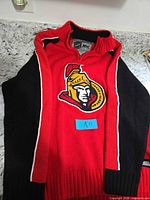 Full view of sweater showing color scheme, crest, and zipper