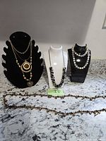 All five necklaces displayed on stands and countertop