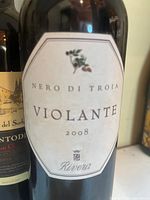 Rivera Violante 2008 Nero di Troia front label