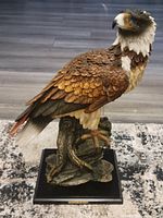 Full view of eagle sculpture on base