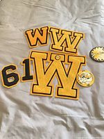 All patches and pin arranged on surface