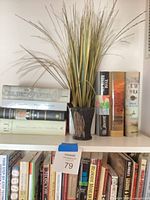 Books and artificial grass plant on shelf