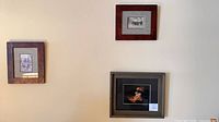 Wall view showing all three framed buffalo prints
