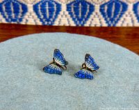 front view showing blue enamel butterfly design