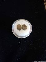 Top view of two oval garnets in display jar