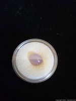 Oval pink chalcedony cabochon in display case top view