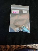 Pendulum in plastic bag with chain partially visible