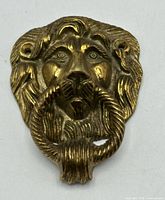Front view of brass lion's head door knocker with ring pull