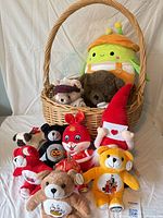 Full lot in basket on white background